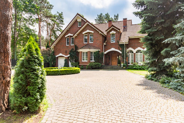 Best Professional Driveway Pavers  in Zephyrhills South, FL