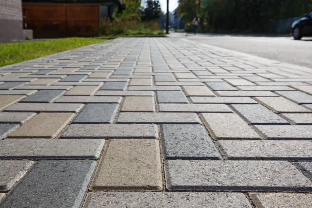 Best Decorative Driveway Pavers  in Zephyrhills South, FL