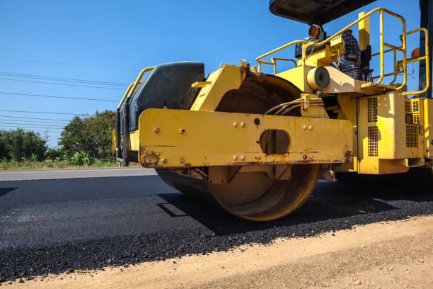 Best Custom Driveway Pavers  in Zephyrhills South, FL
